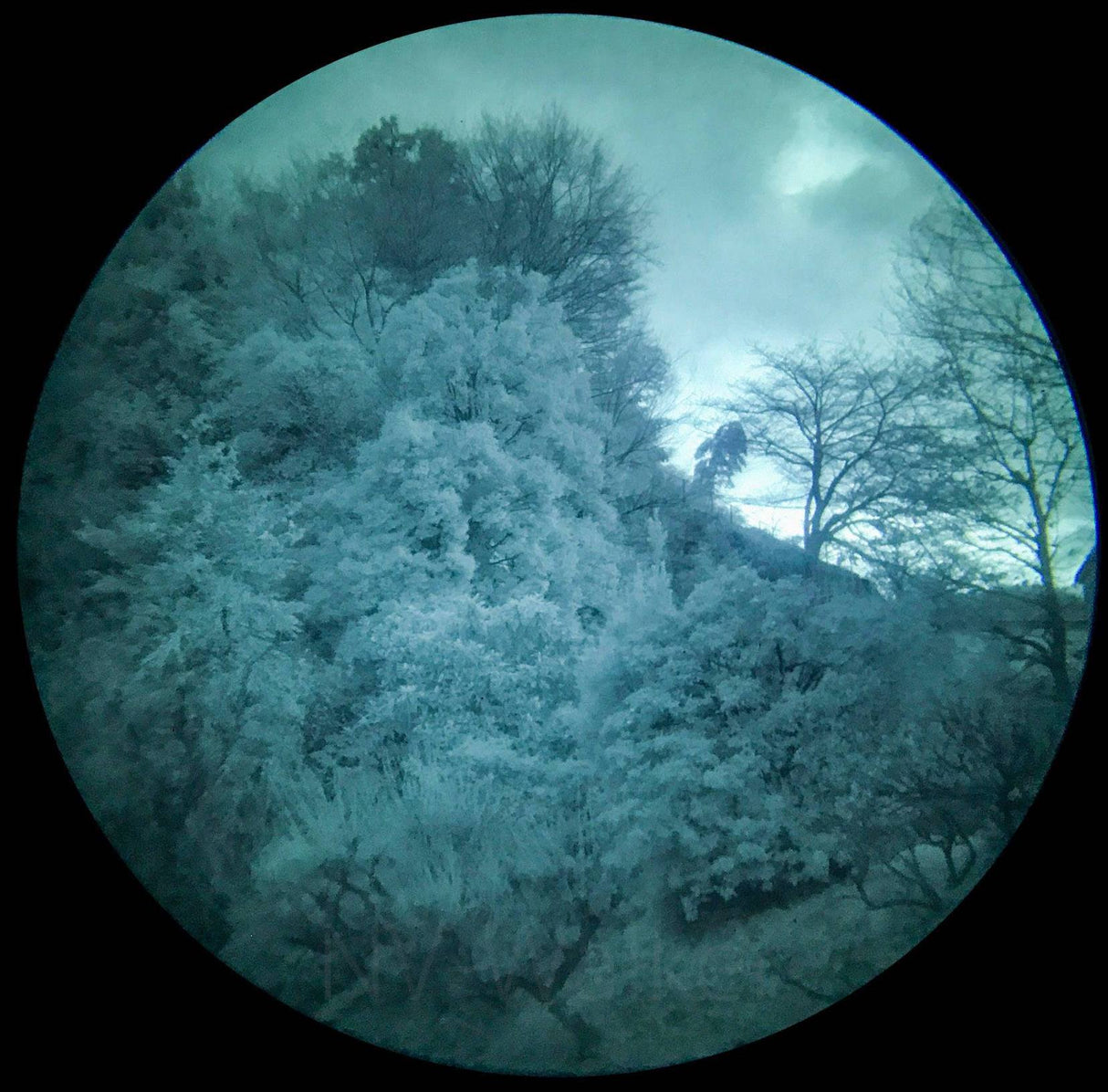 Ein Bild mit Nachtsichtoptik